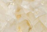 Wide Plate Of Quartz Crystals #225174-2